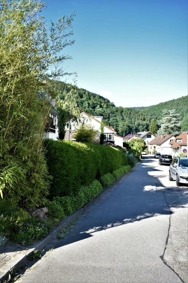 Ferienwohnung FVH Family Vacation Heidelberg Exterior foto