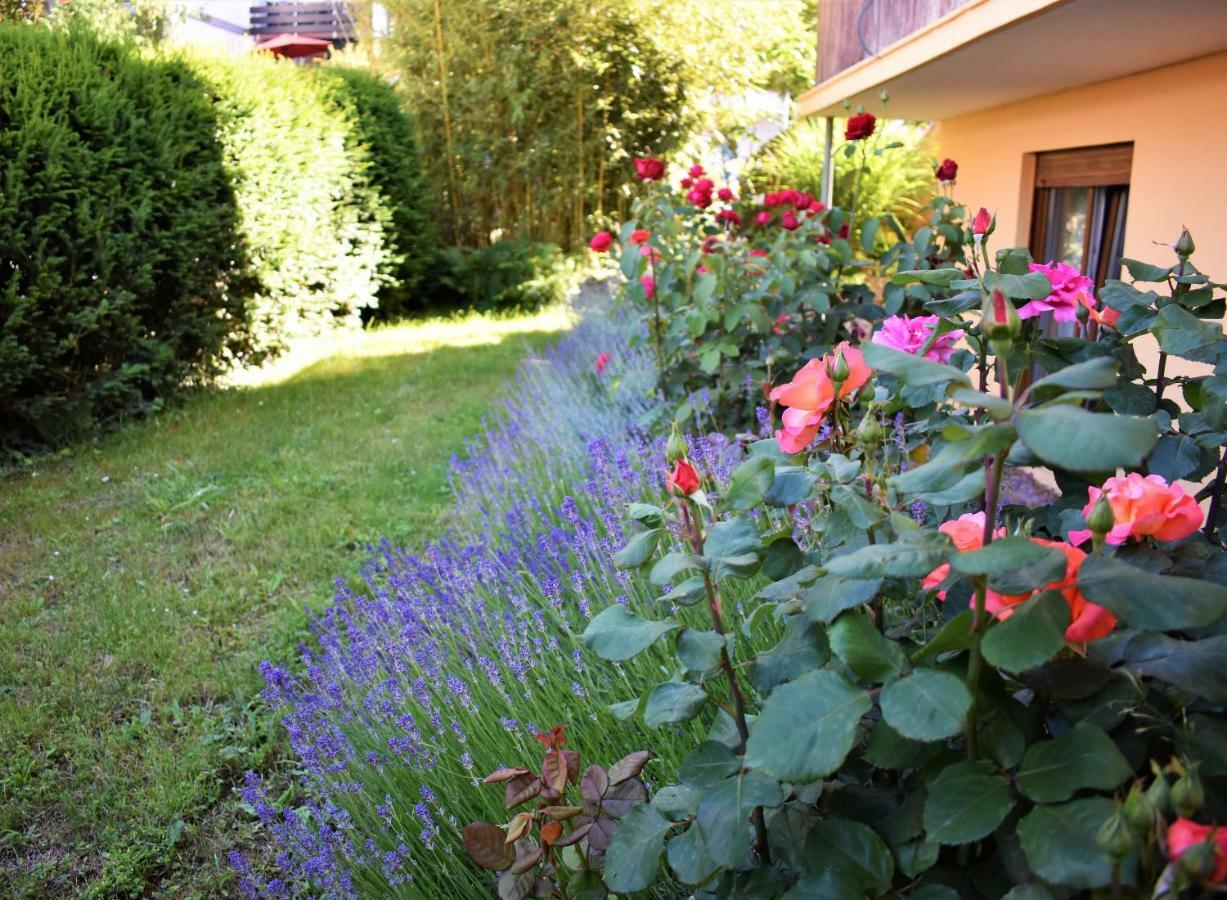 Ferienwohnung FVH Family Vacation Heidelberg Exterior foto
