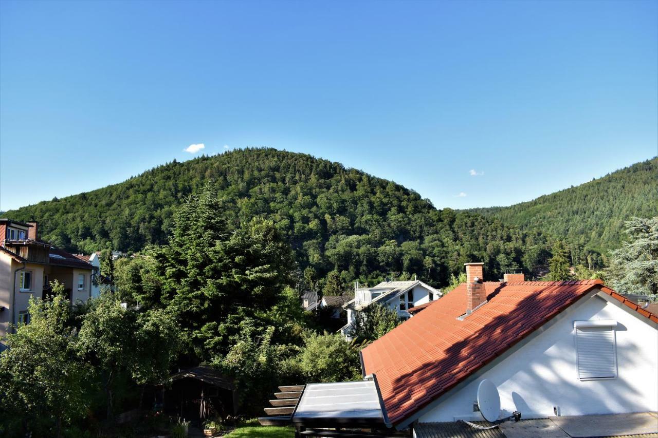 Ferienwohnung FVH Family Vacation Heidelberg Exterior foto