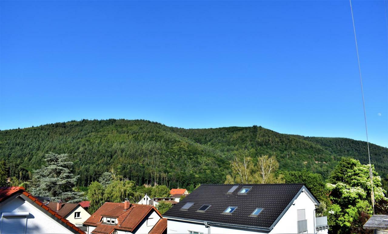 Ferienwohnung FVH Family Vacation Heidelberg Exterior foto